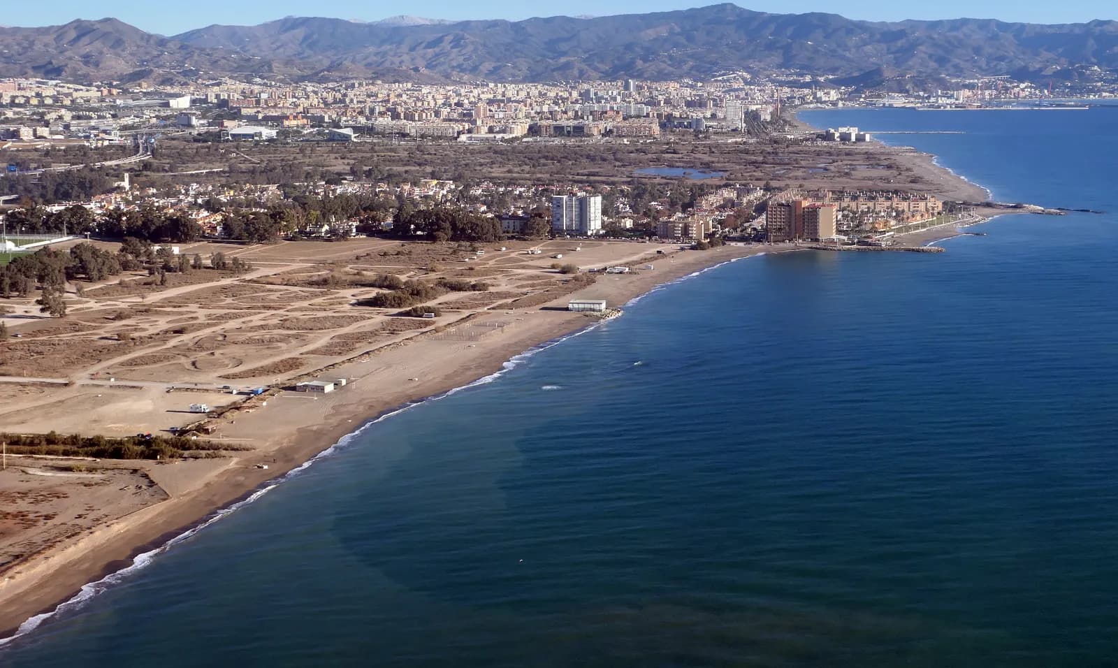 Plaża w Maladze z palmami i zabudową miasta w tle