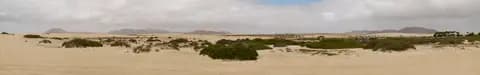 Wydmy przy Corralejo na Fuerteventurze