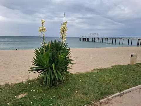 Plaża w Złotych Piaskach nad Morzem Czarnym